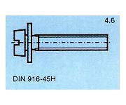 skrutky DIN 916-45H